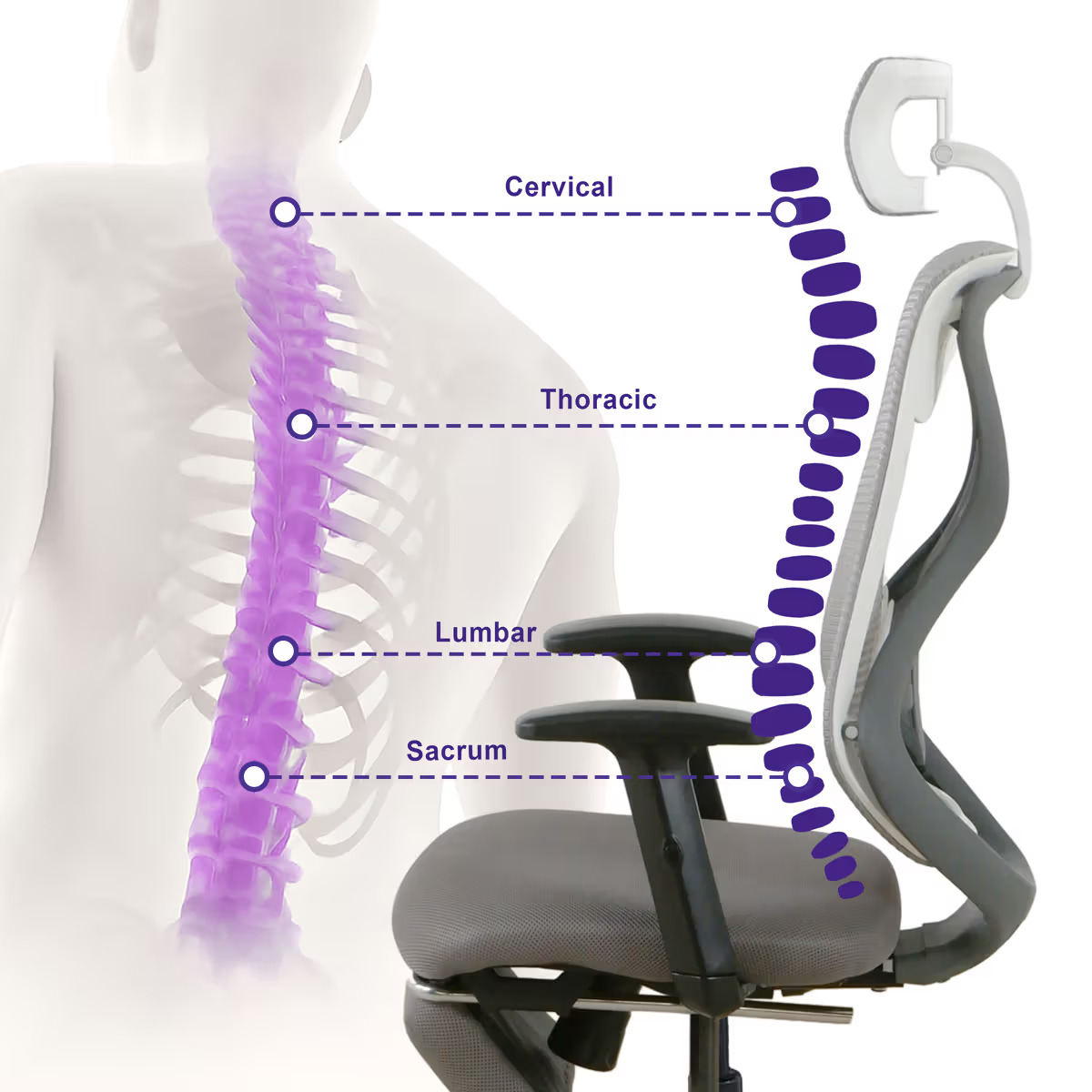 Gravita HighBack Office Chair | White and Grey | Footrest - hover
